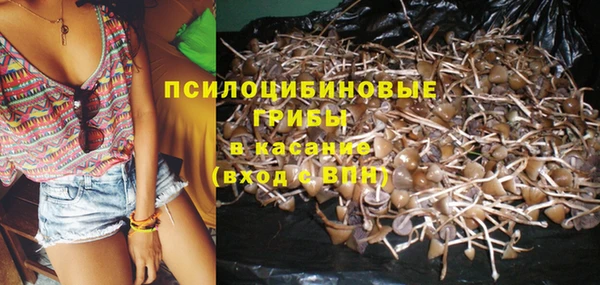 spice Дмитриев