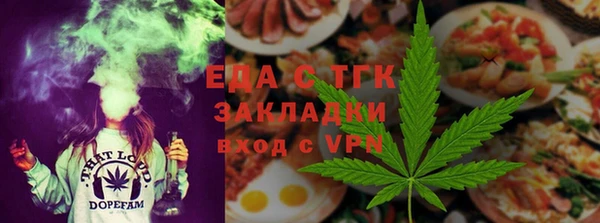spice Дмитриев