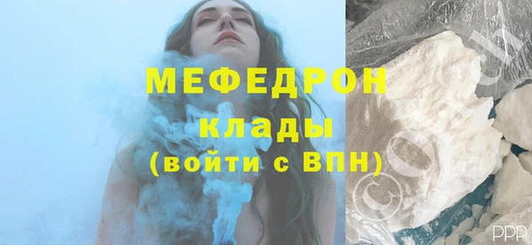 spice Дмитриев