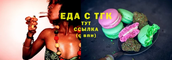 spice Дмитриев