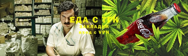 spice Дмитриев