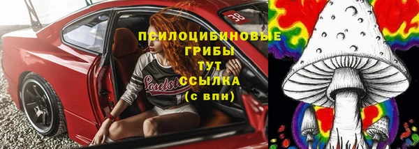 spice Дмитриев