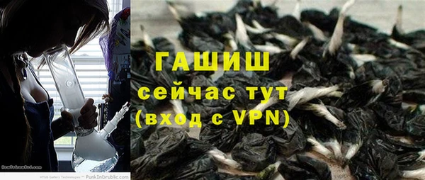 spice Дмитриев