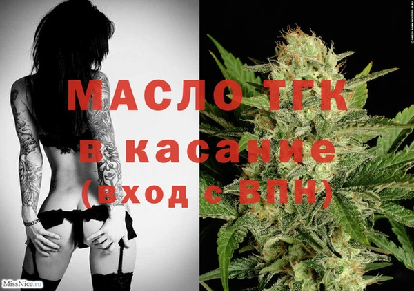 spice Дмитриев