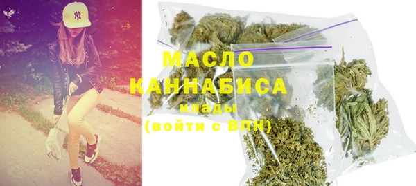 spice Дмитриев