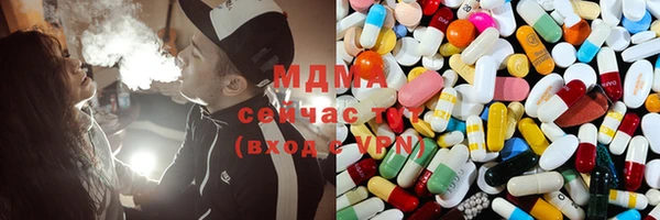 spice Дмитриев