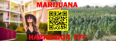 гидропоника Кингисепп