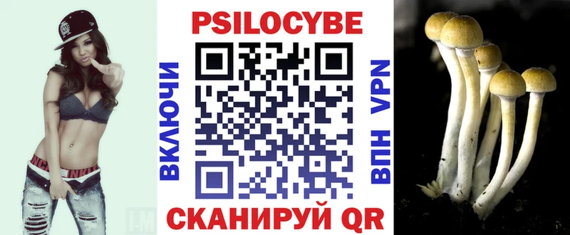 Псилоцибиновые грибы мухоморы  гидра онион  Москва 