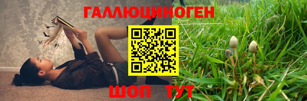 Псилоцибиновые грибы Psilocybine cubensis Москва