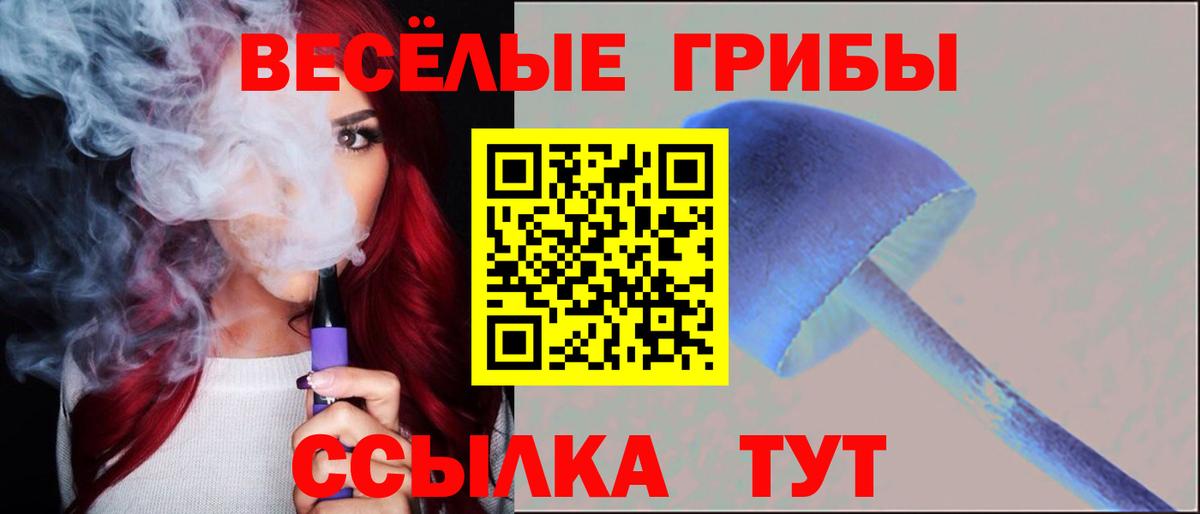 Москва  Галлюциногенные грибы прущие грибы  Псилоцибиновые грибы Psilocybe  Вход с VPN 